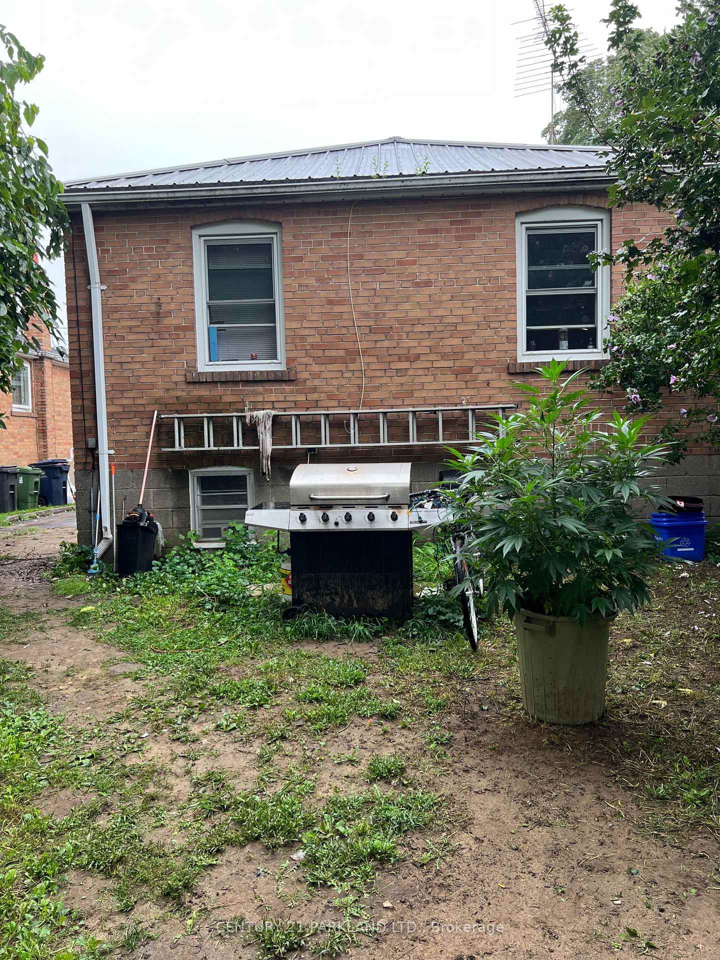 125 North Carson Street • Toronto, ON photo 5