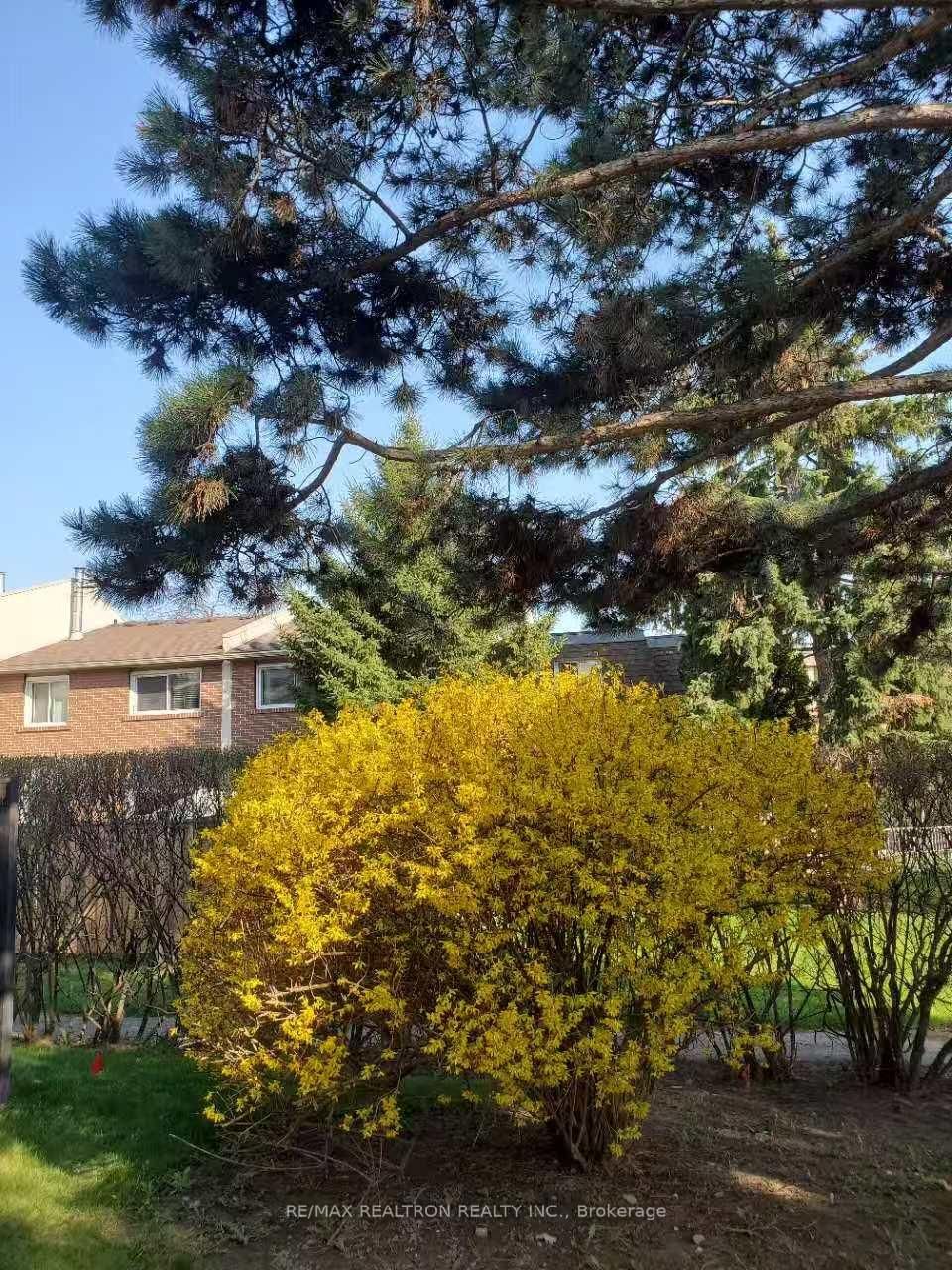 1180 Mississauga Valley Boulevard • #100 • Mississauga, ON photo 16