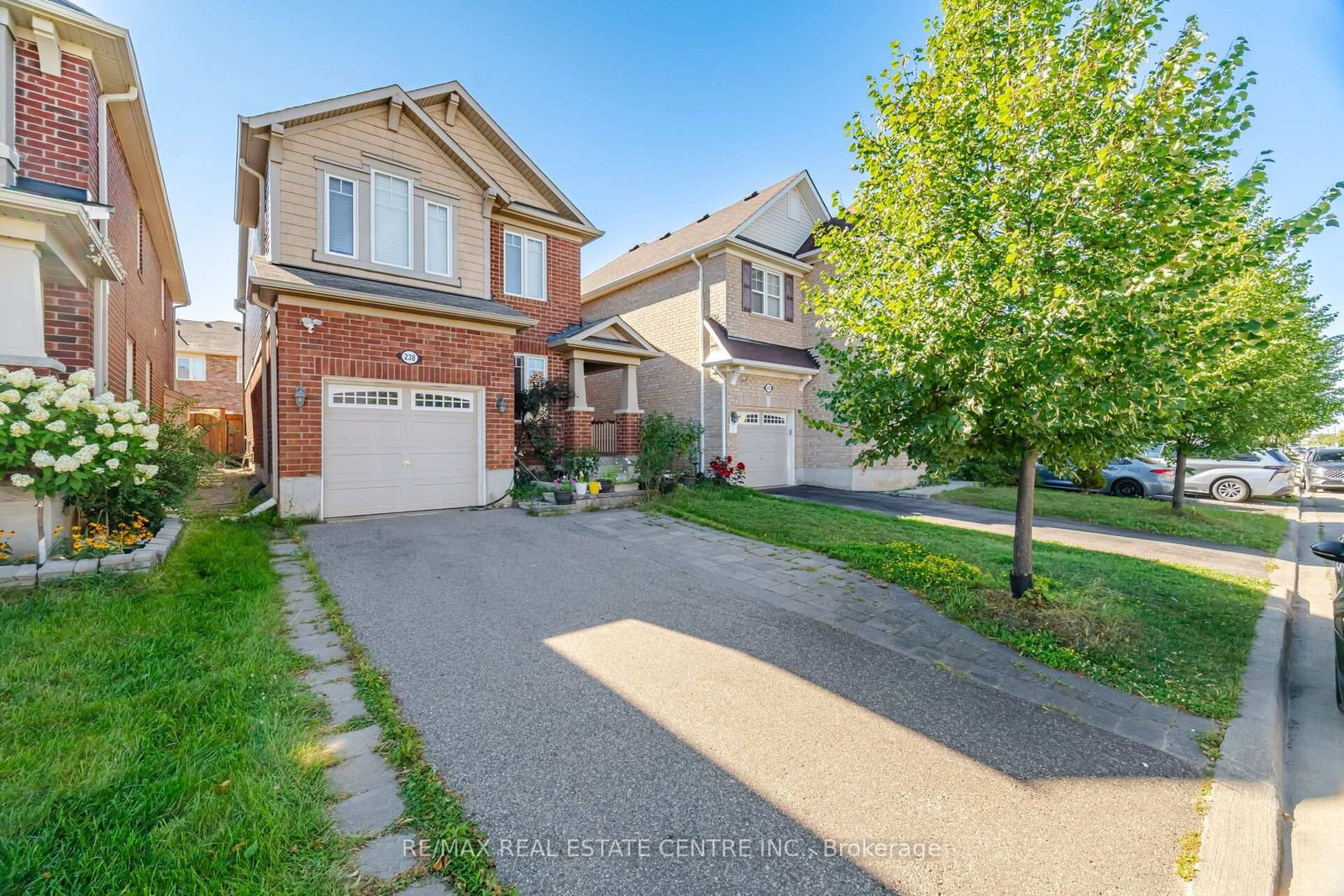 Basement Only - 238 Cedric Terrace, Milton 4