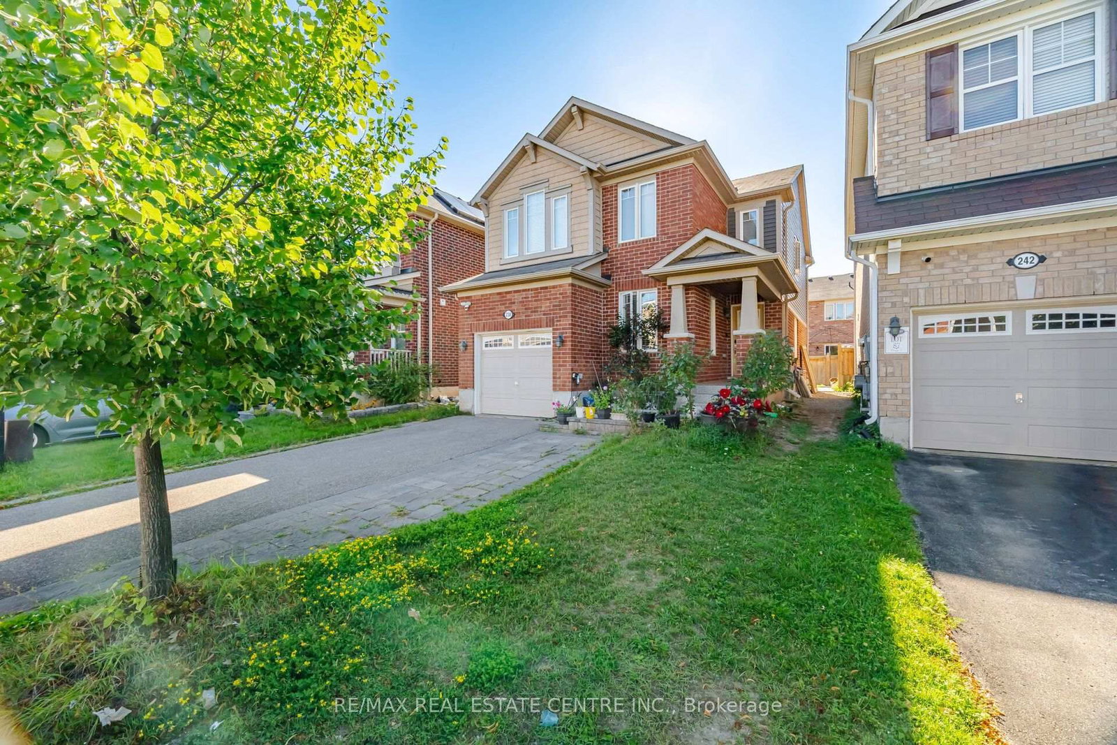Basement Only - 238 Cedric Terrace, Milton 5