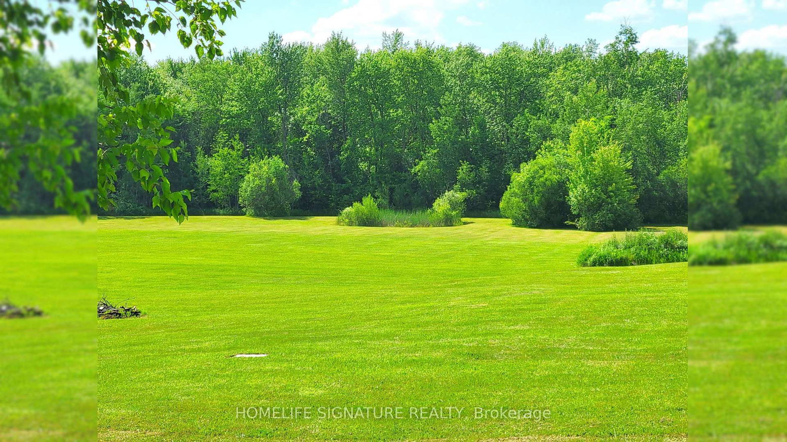 5273 25 Side Road • Milton, ON photo 12