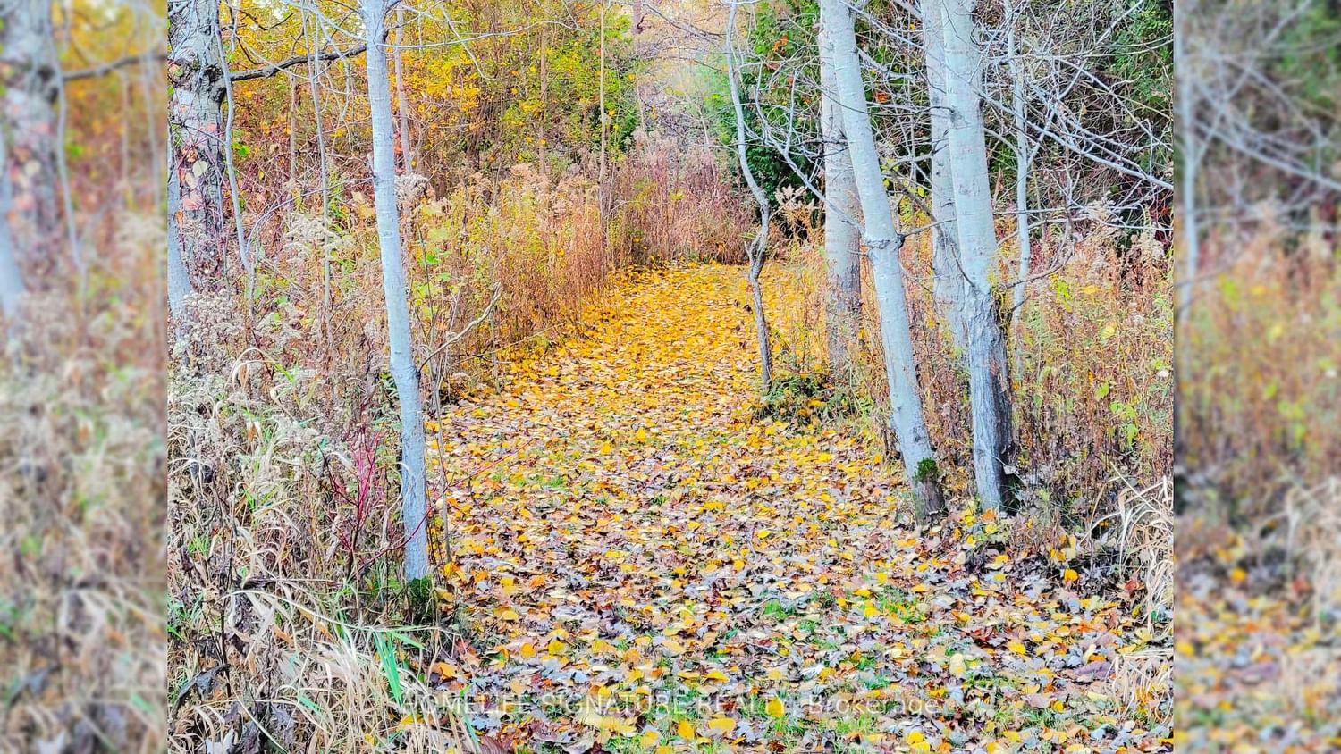 5273 25 Side Road • Milton, ON photo 14