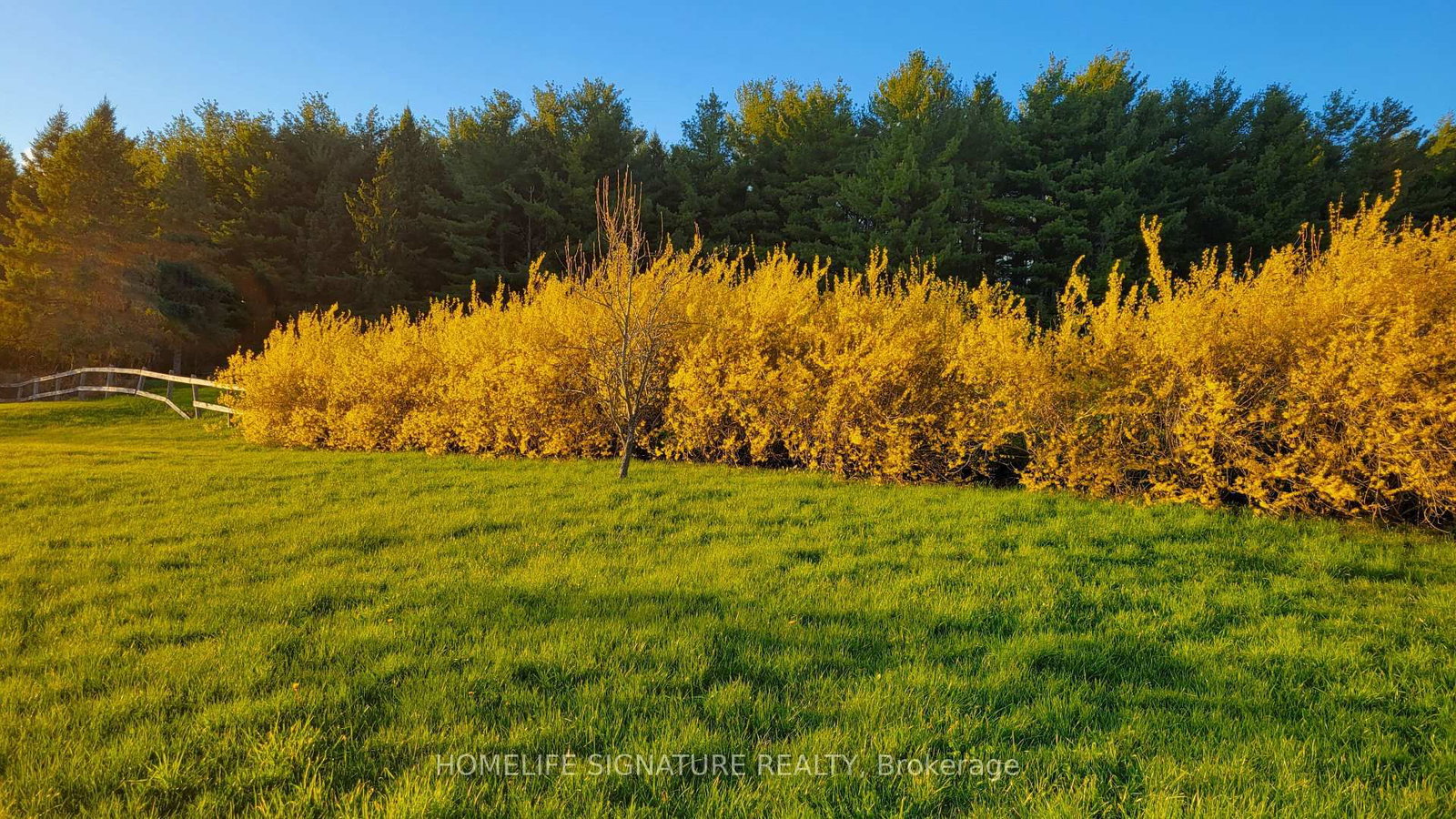 5273 25 Side Road • Milton, ON photo 16