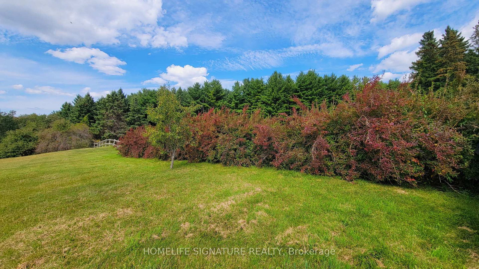 5273 25 Side Road • Milton, ON photo 17