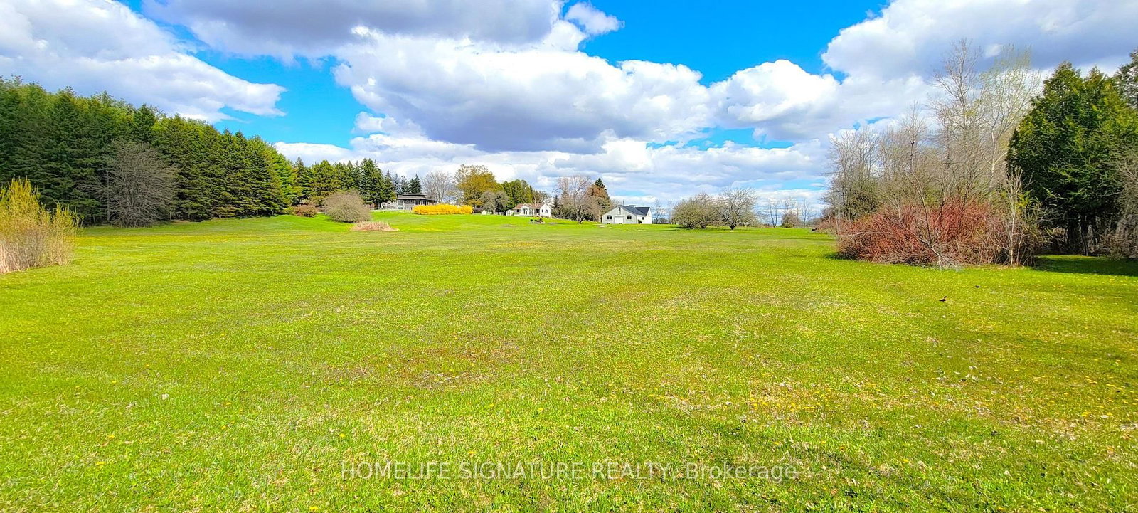 5273 25 Side Road • Milton, ON photo 49
