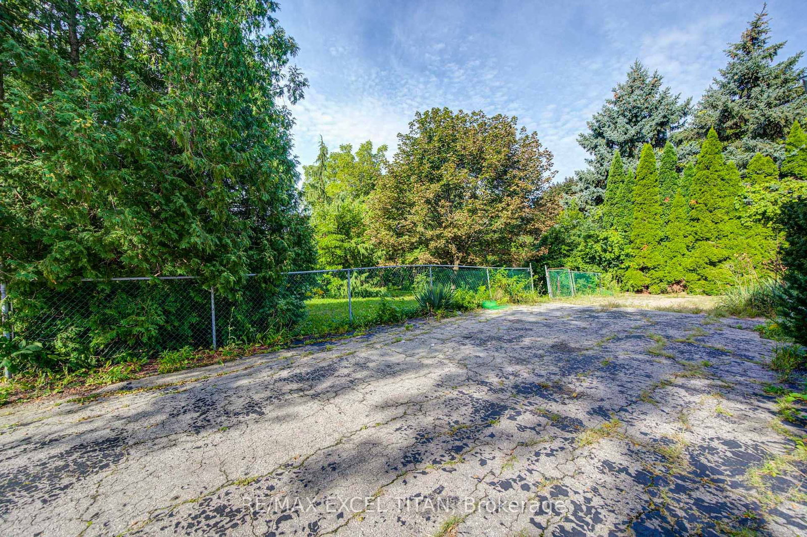 1098 Kent Avenue • Oakville, ON photo 4