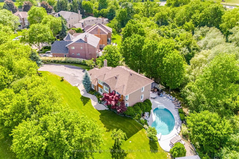 7 Andes Court