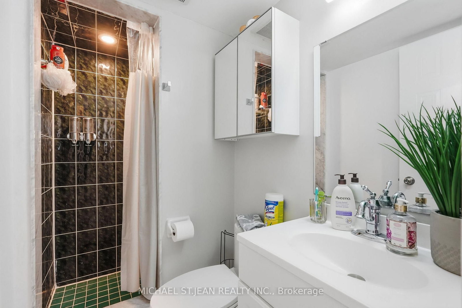 51 Mount Dennis Drive • Toronto, ON photo 30