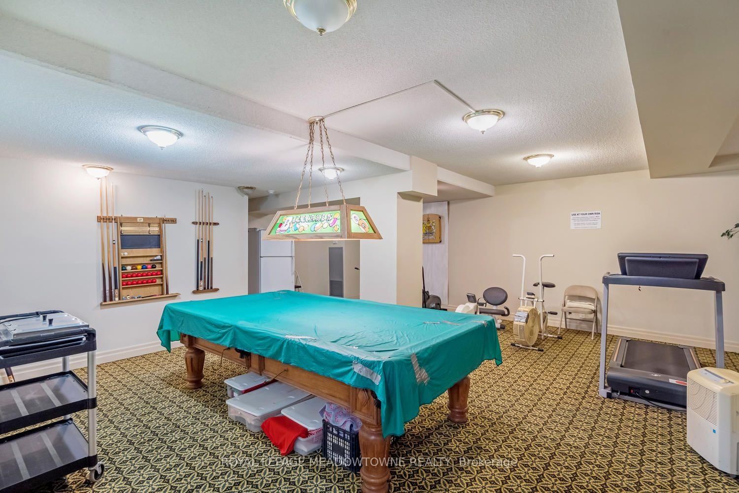24 Chapel Street • #Ph02 • Halton Hills, ON photo 41