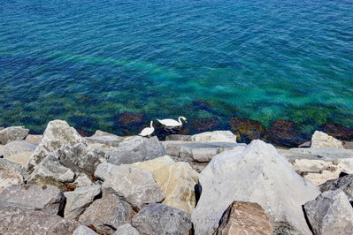 41 Lake Shore Toronto,ON M8V 1Z3 — Photo 47