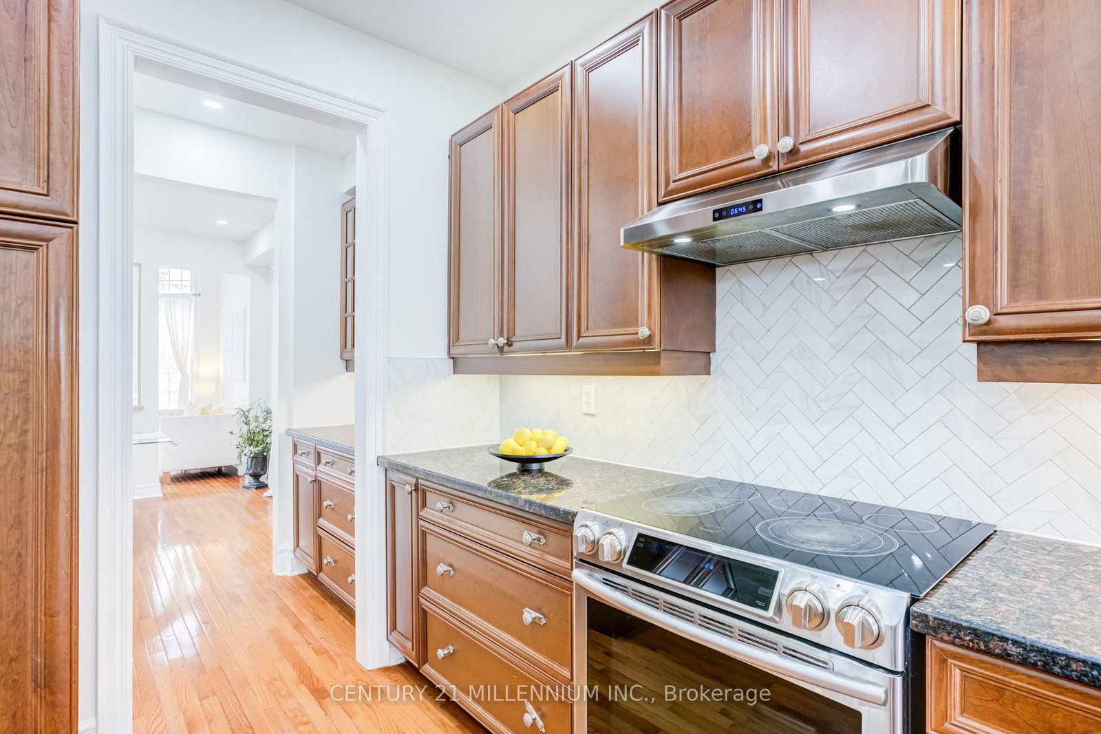 102 Southlake Boulevard • Brampton, ON photo 22