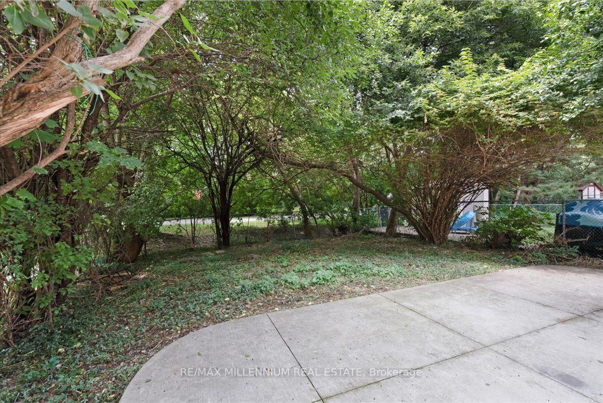 26 Talbot Street • Brampton, ON photo 29