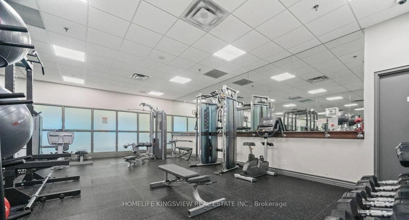 339 Rathburn Mississauga,ON L5B 0K6 — Photo 16