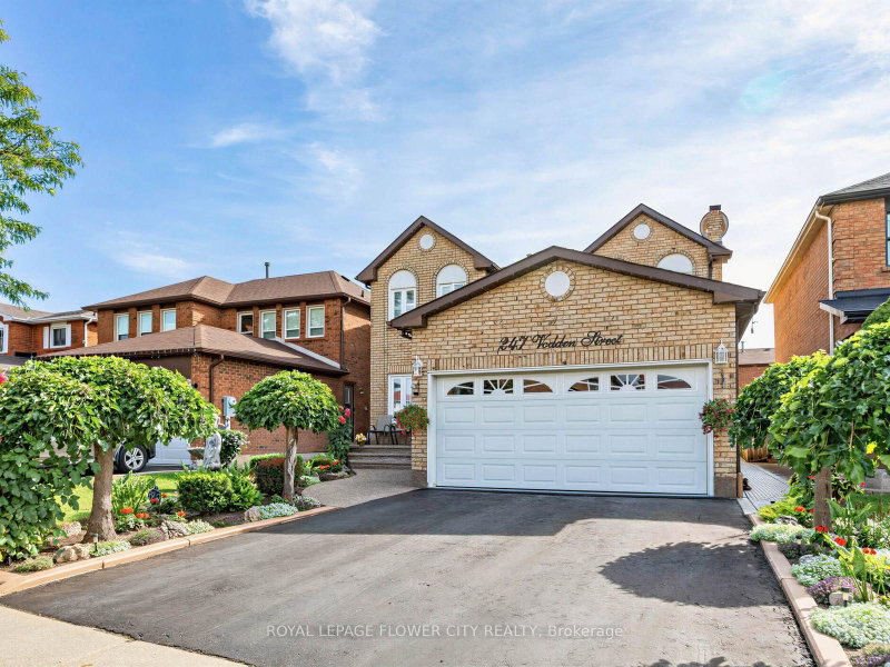 247 Vodden Street W