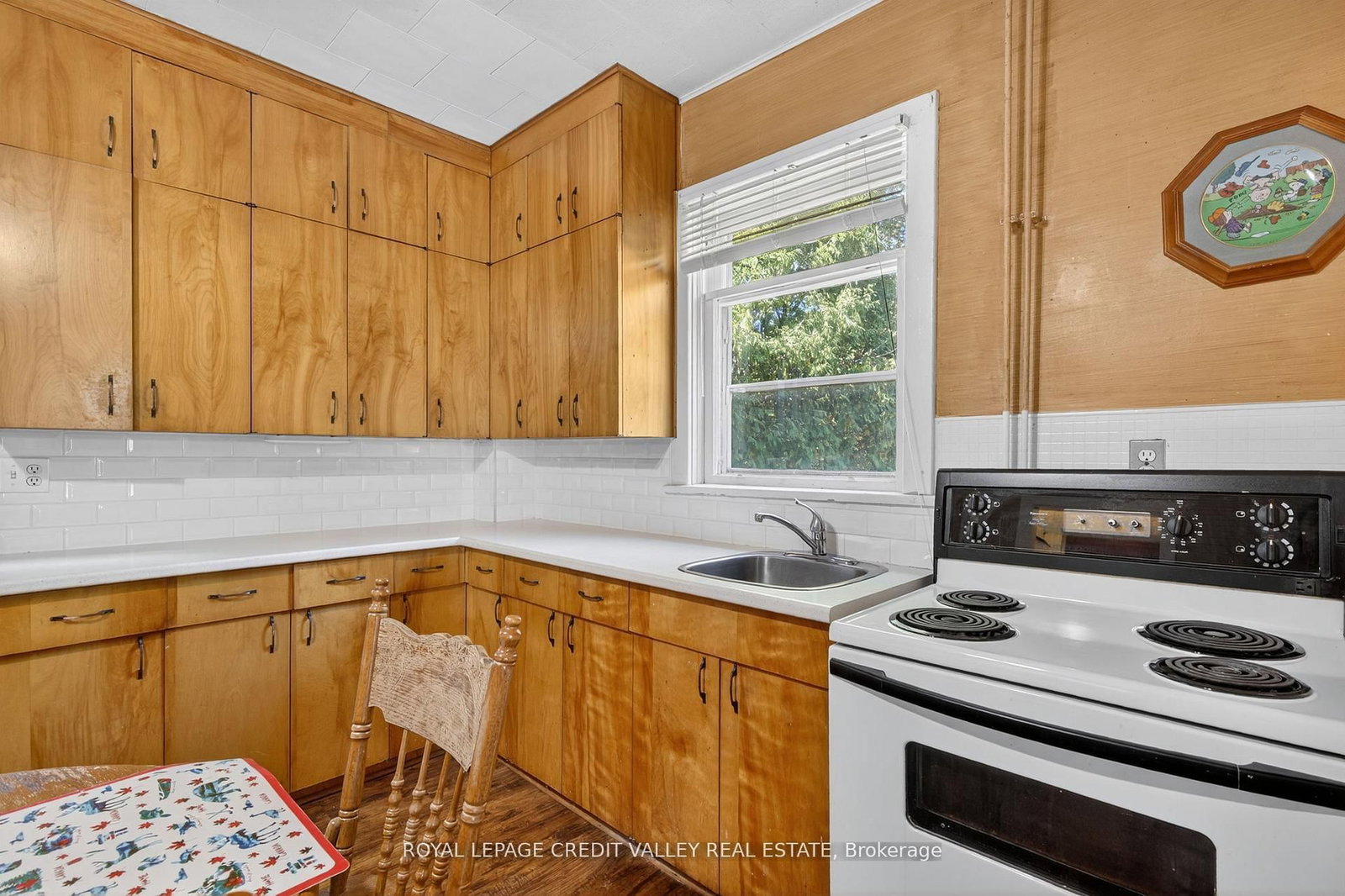 34 Joseph Street • Brampton, ON photo 18