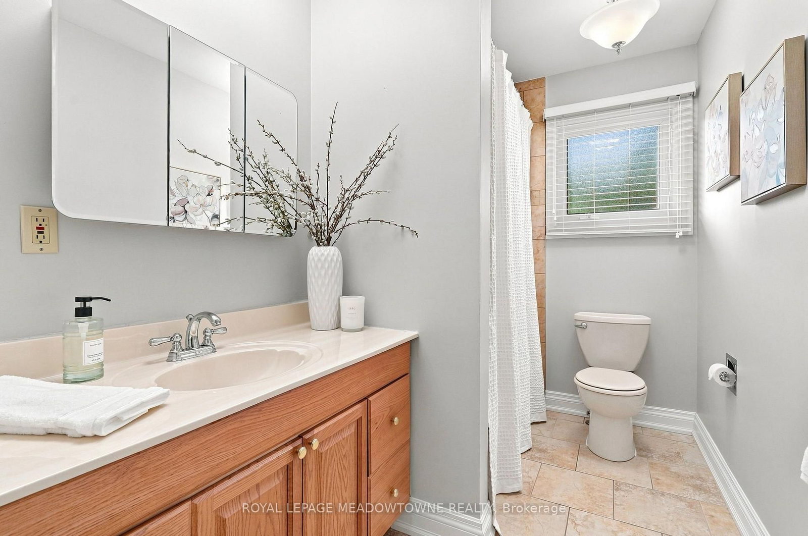 621 Moorelands Crescent • Milton, ON photo 29
