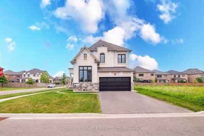 4 Vineyard Drive • Brampton, ON photo 5