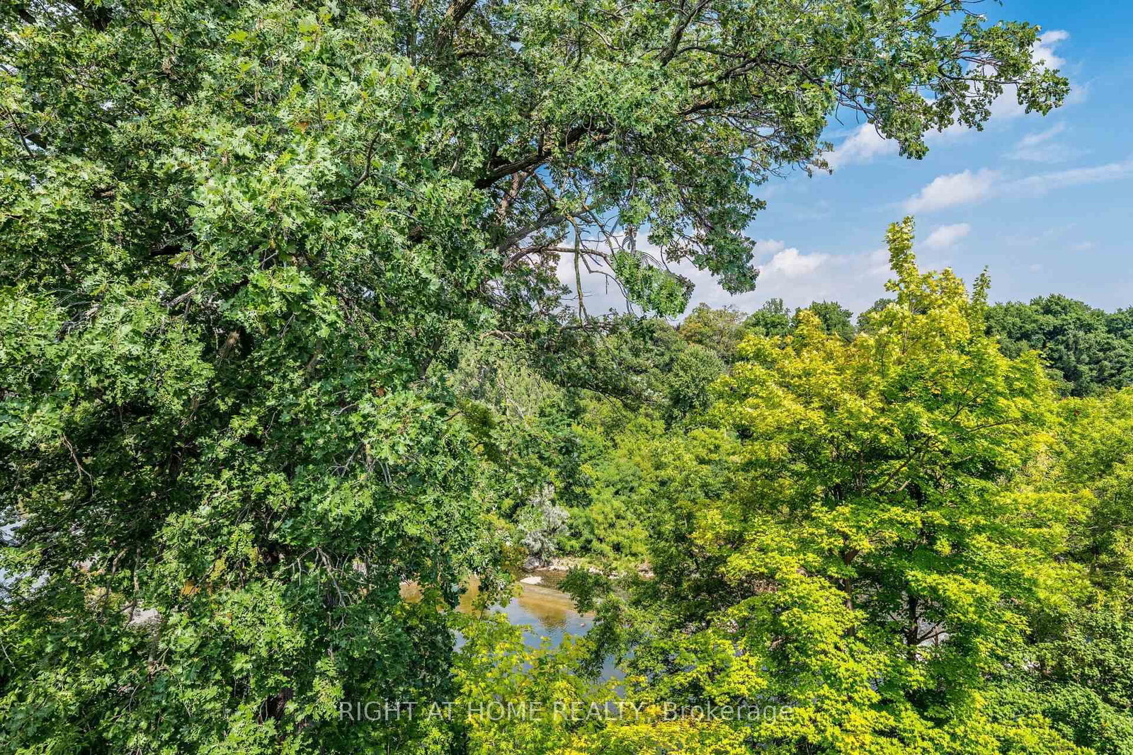 24 Reid Drive • #8 • Mississauga, ON photo 45