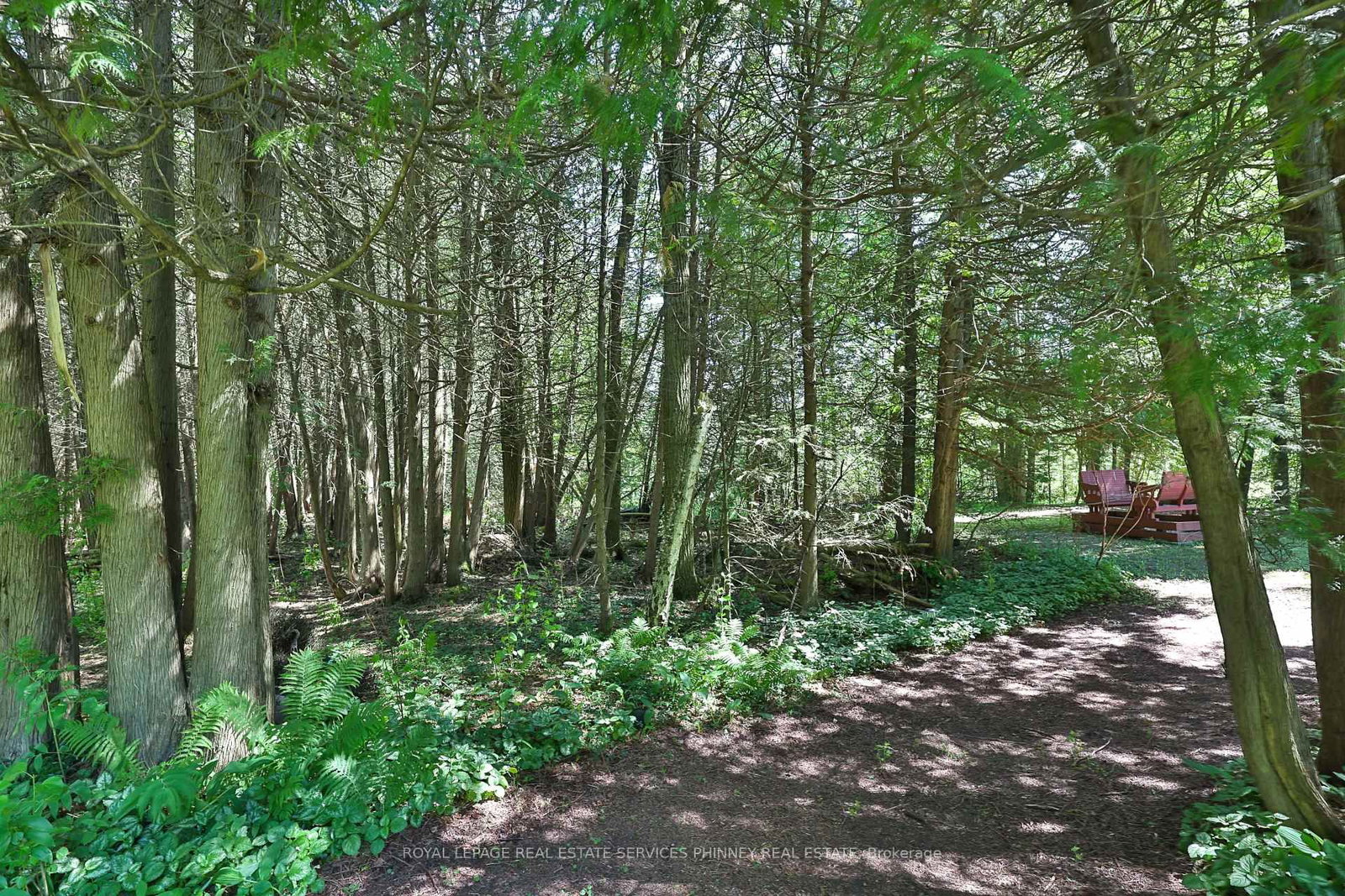 19555 Shaws Creek Road • Caledon, ON photo 47
