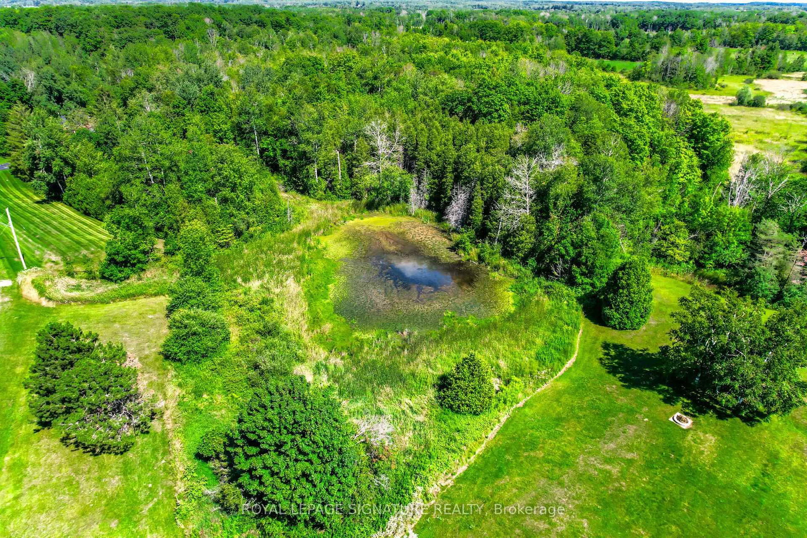 9 Elite Road • Caledon, ON photo 49