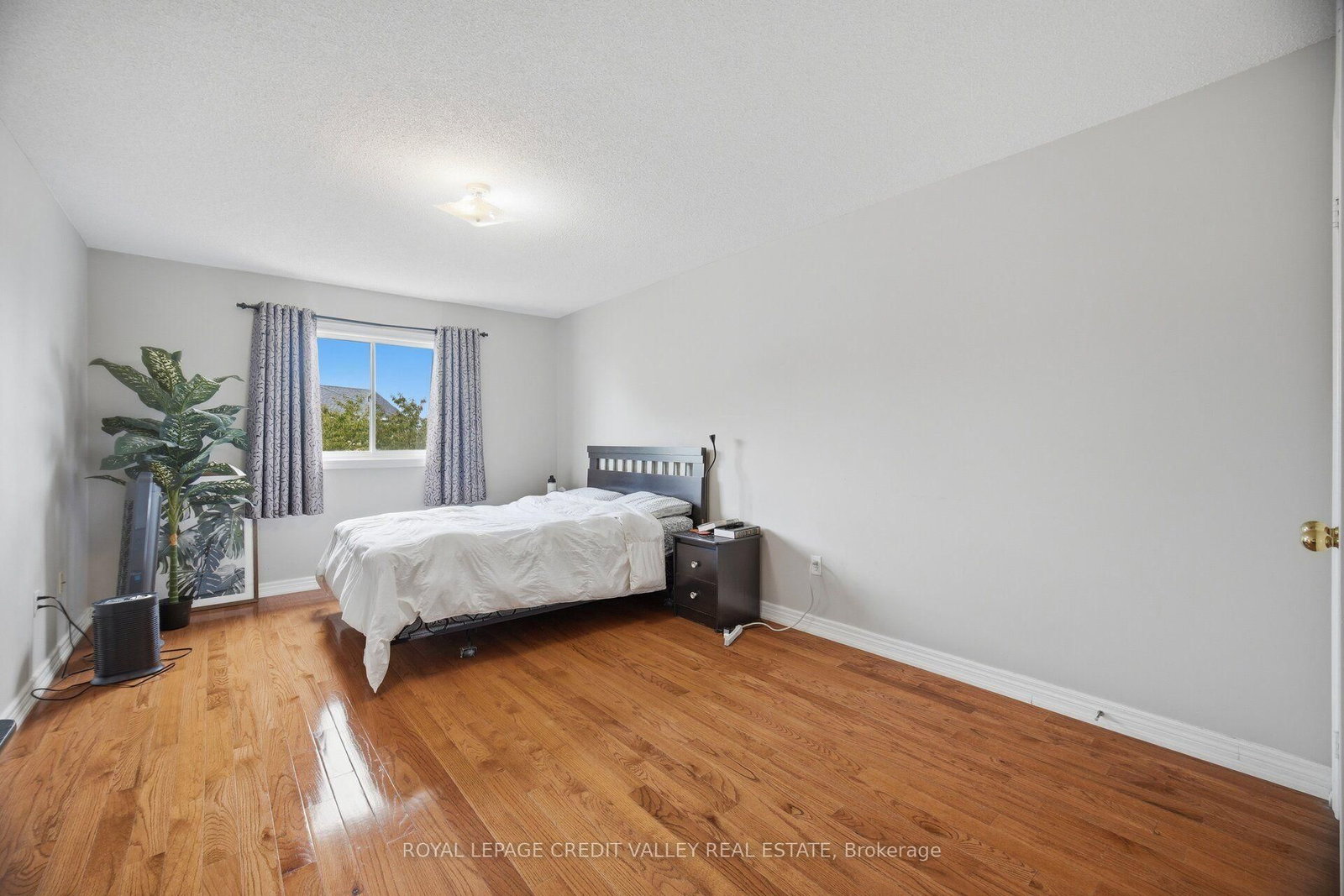 7443 Russian Olive Close • Mississauga, ON photo 23