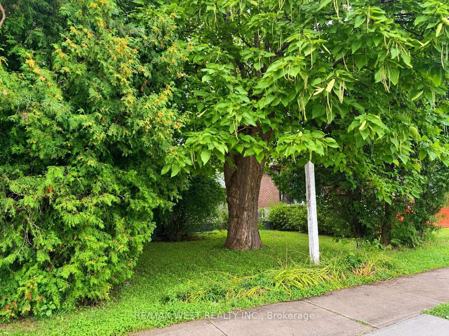1304 Alexandra Avenue • Mississauga, ON photo 4