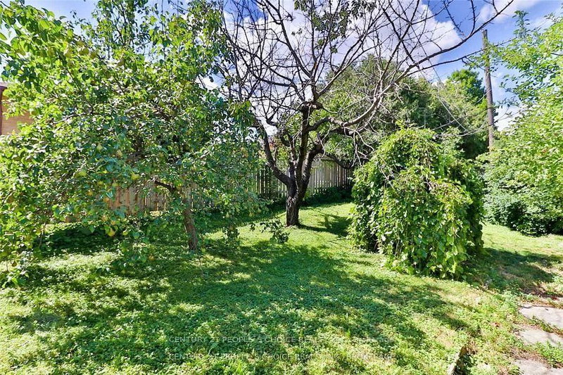 317 Albion Rd photo 4