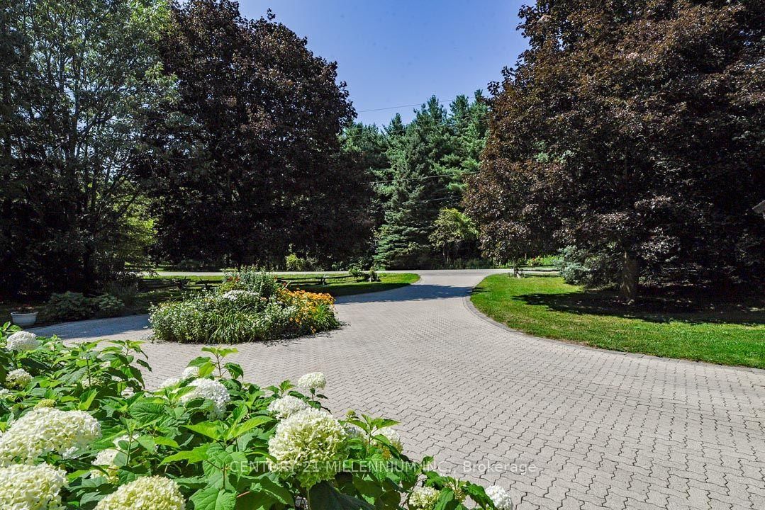 4845 Escarpment Side Road • Caledon, ON photo 10