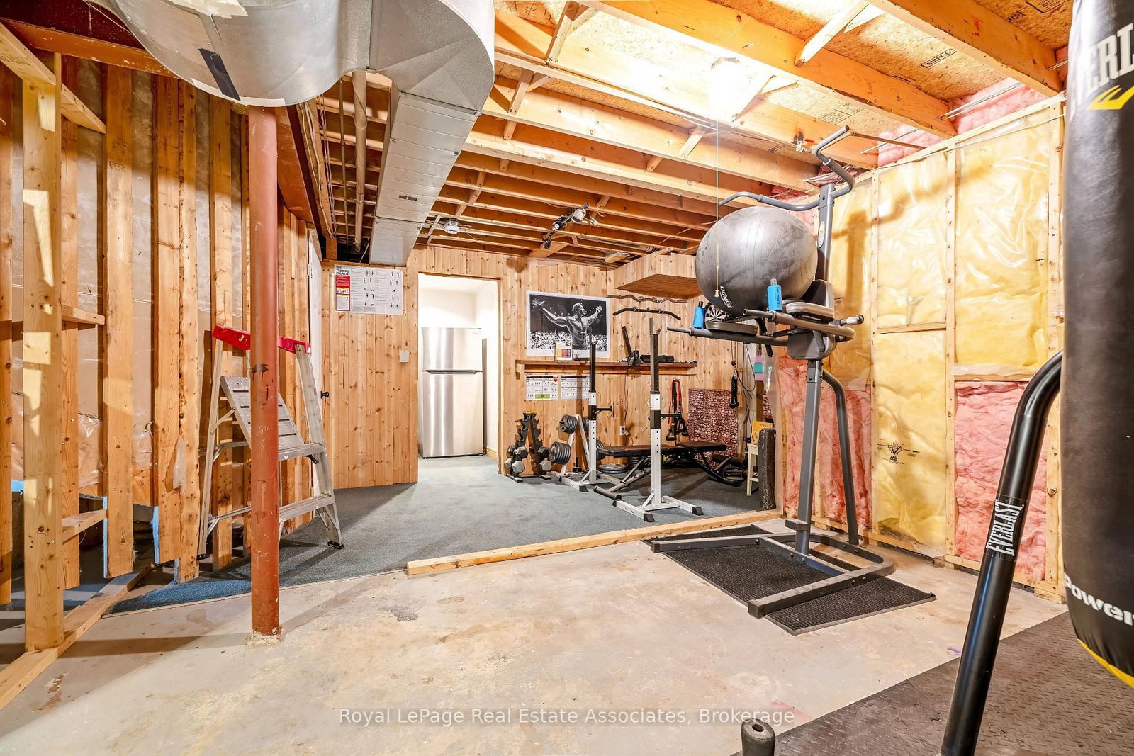 5 Early Street • Halton Hills, ON photo 37