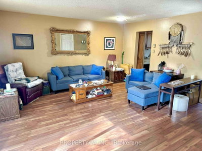 296 Wilson Drive • Milton, ON photo 5