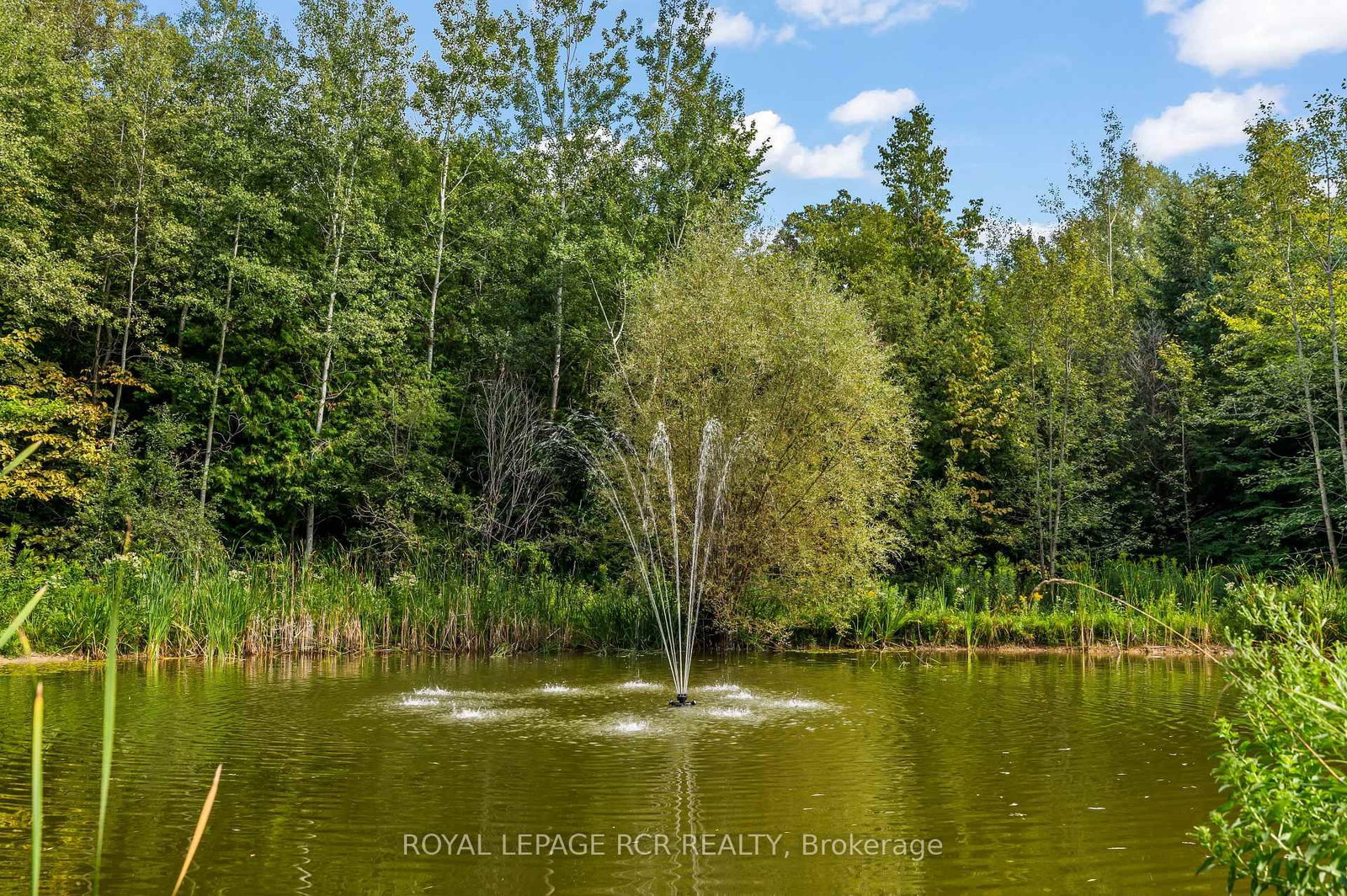 3285 Beech Grove Side Road • Caledon, ON photo 48
