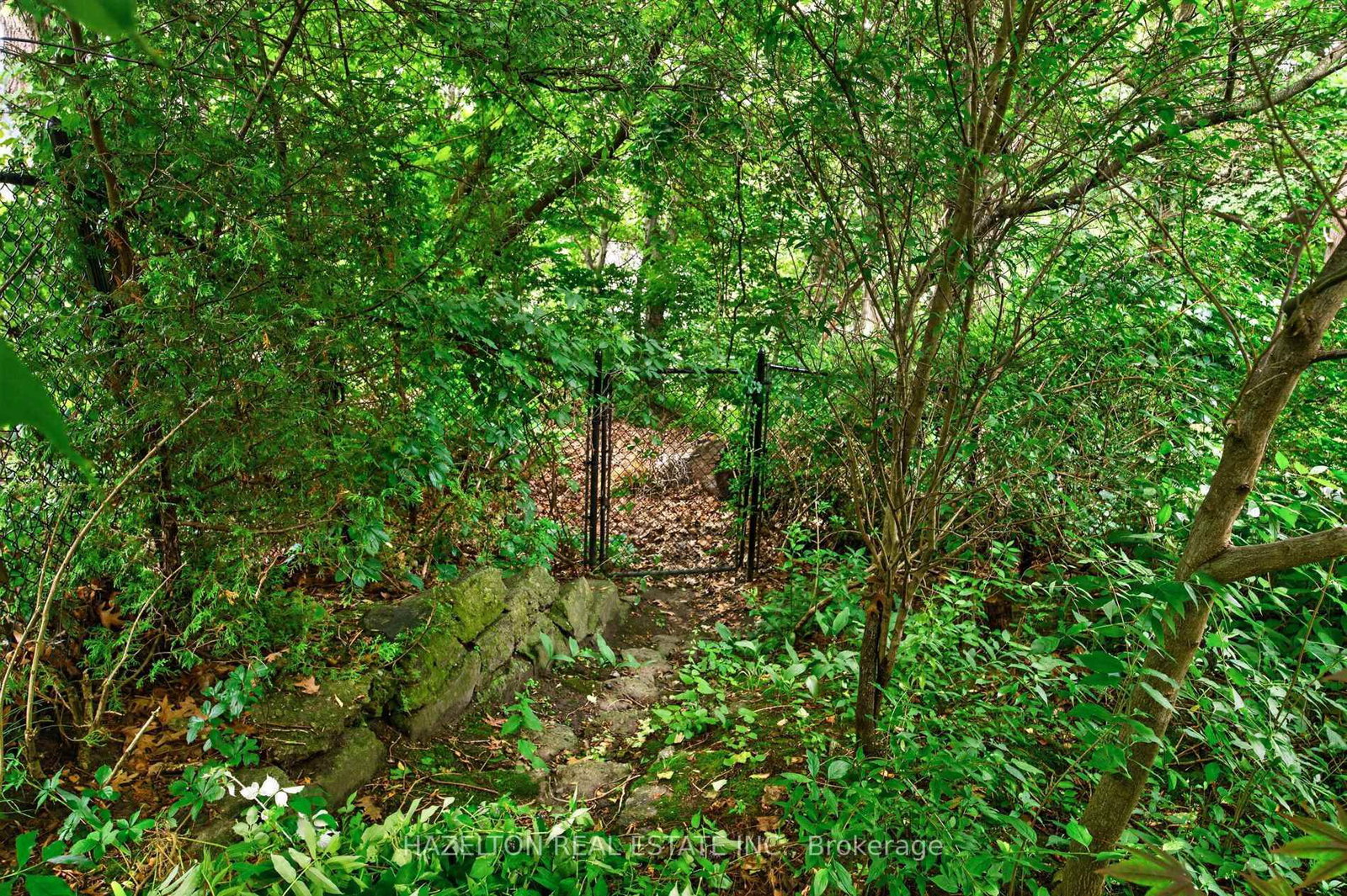 246 Riverside Drive • Toronto, ON photo 46