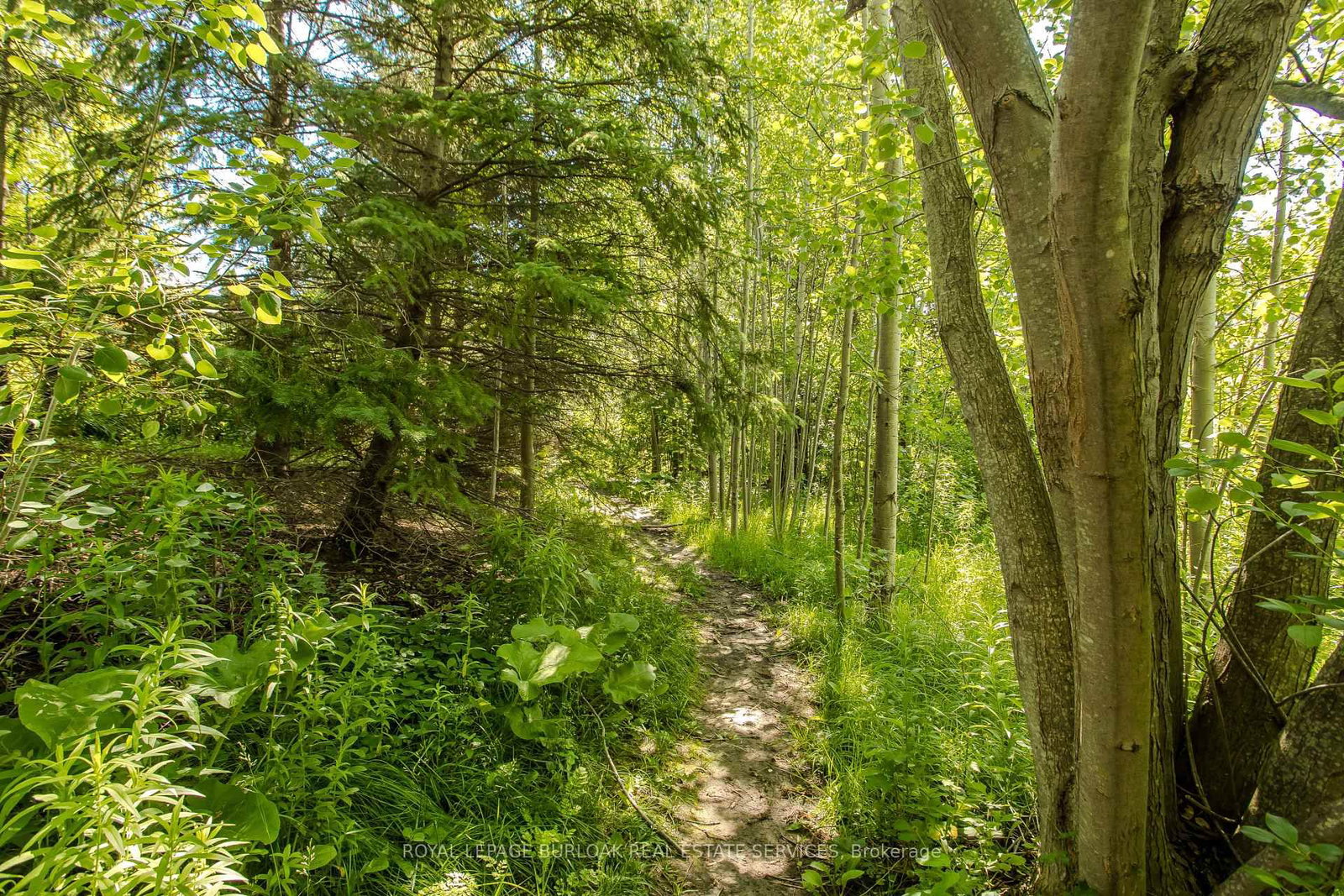 5174 Ravine Crescent • Burlington, ON photo 8