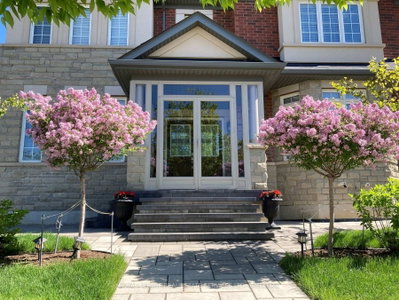 68 Hartwell Road • Halton Hills, ON photo 8