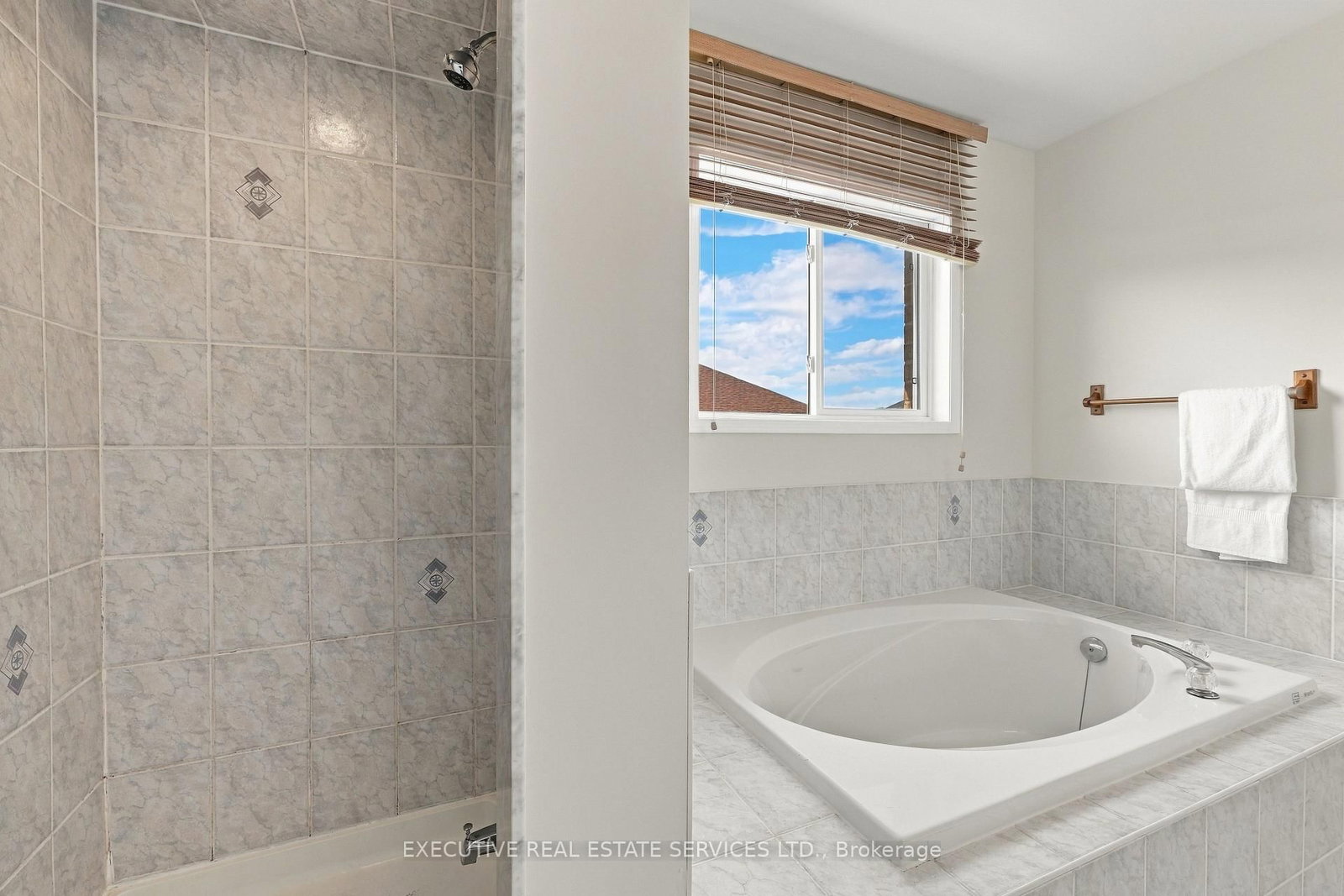 184 Queen Mary Drive • Brampton, ON photo 26