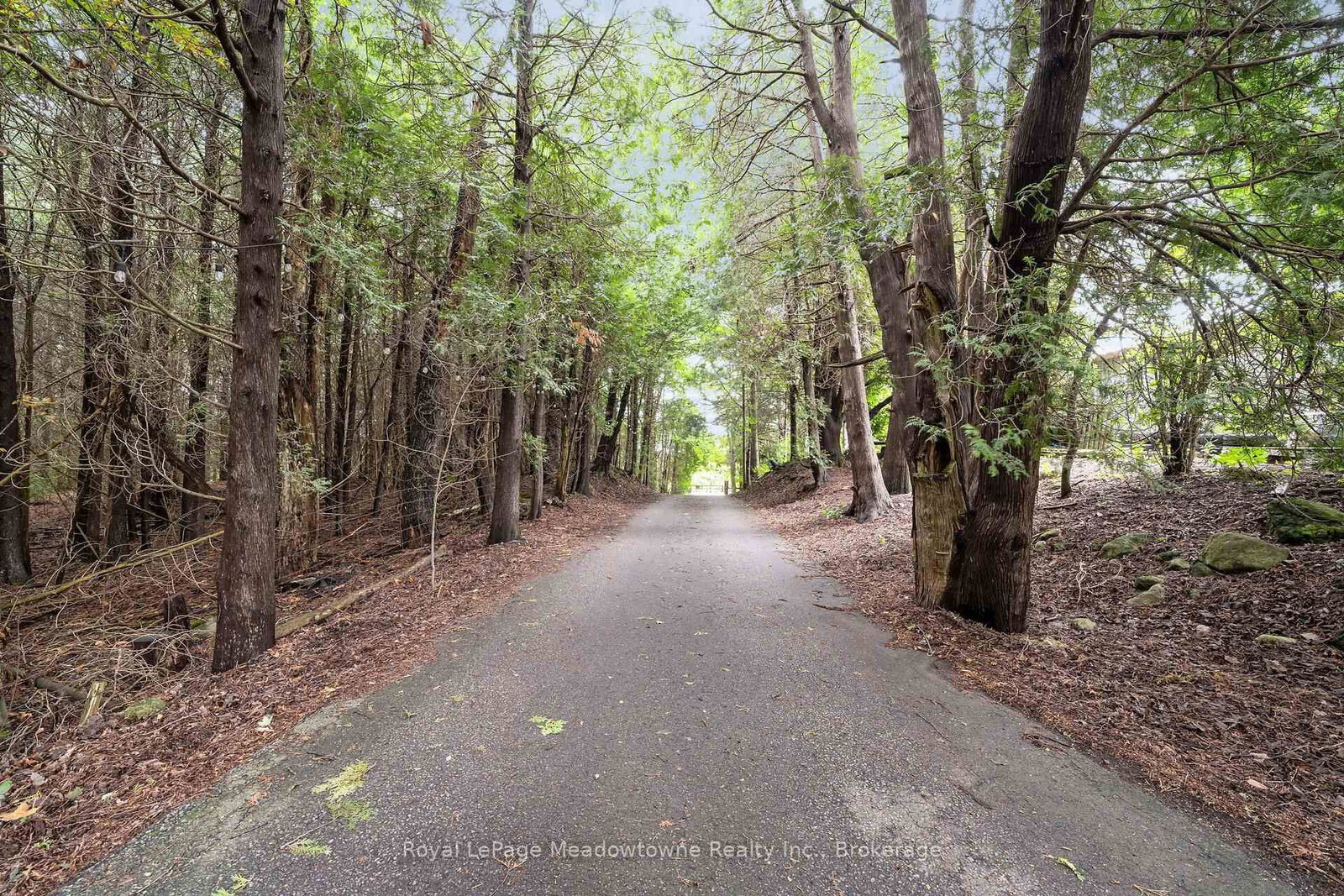 13306 Sixth Line • Milton, ON photo 50
