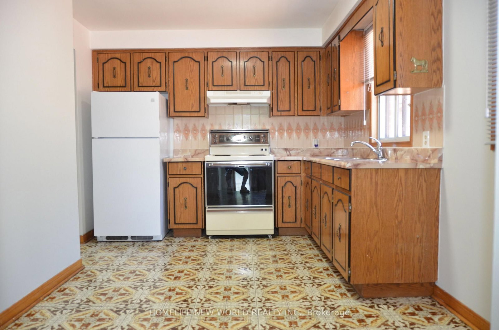 6 Privet Road • Toronto, ON photo 6