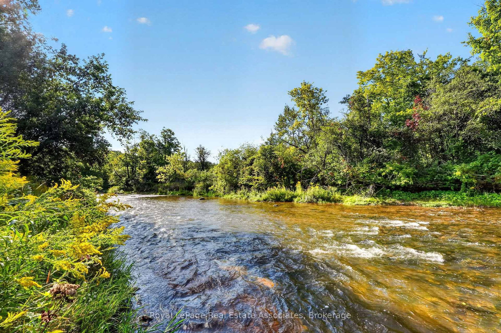 13086 Winston Churchill Boulevard • Halton Hills, ON photo 6