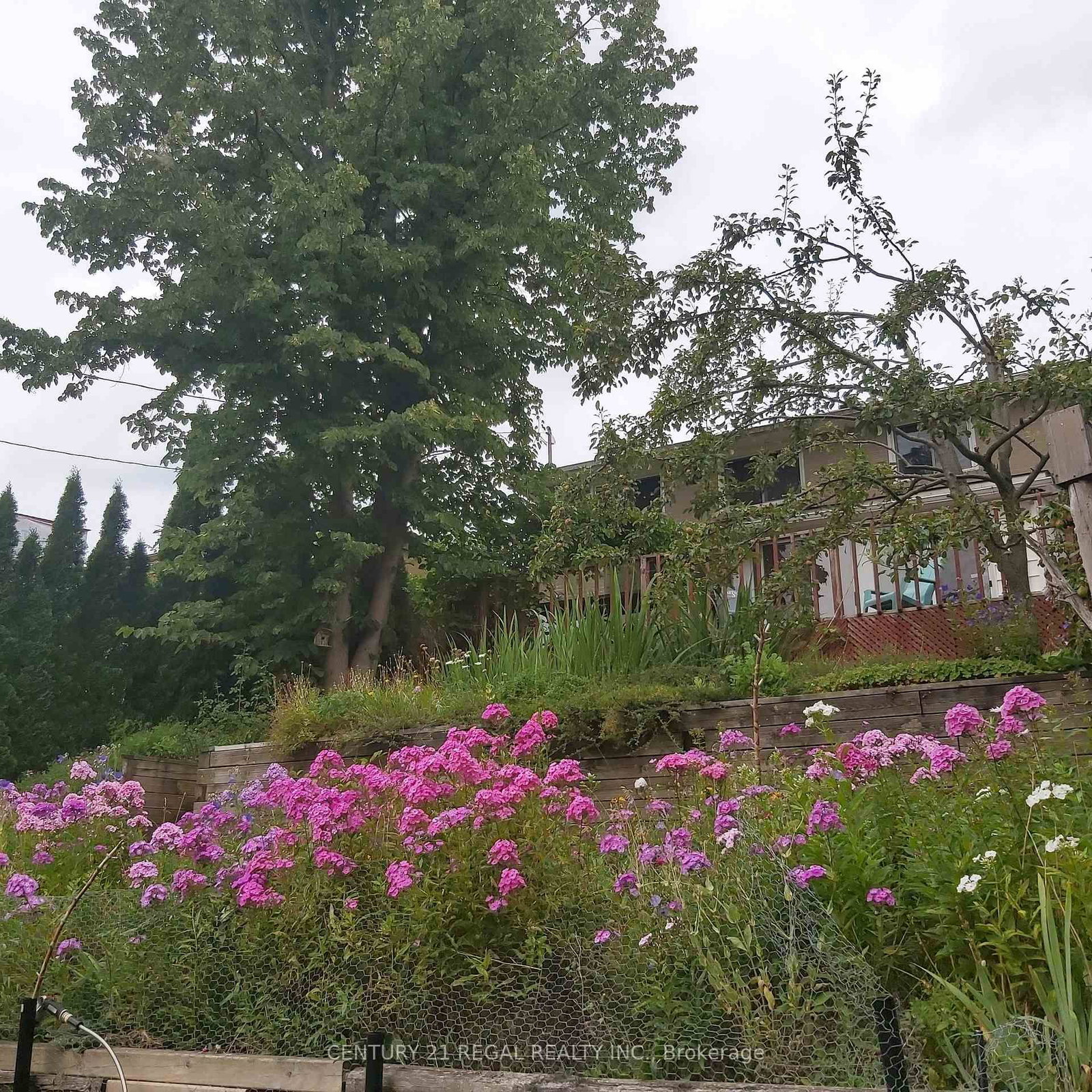 122 Longfield Road • Halton Hills, ON photo 32