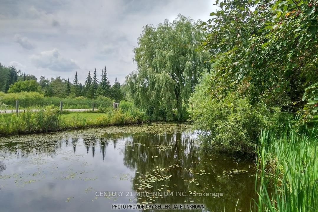 18599 Horseshoe Hill Road • Caledon, ON photo 4