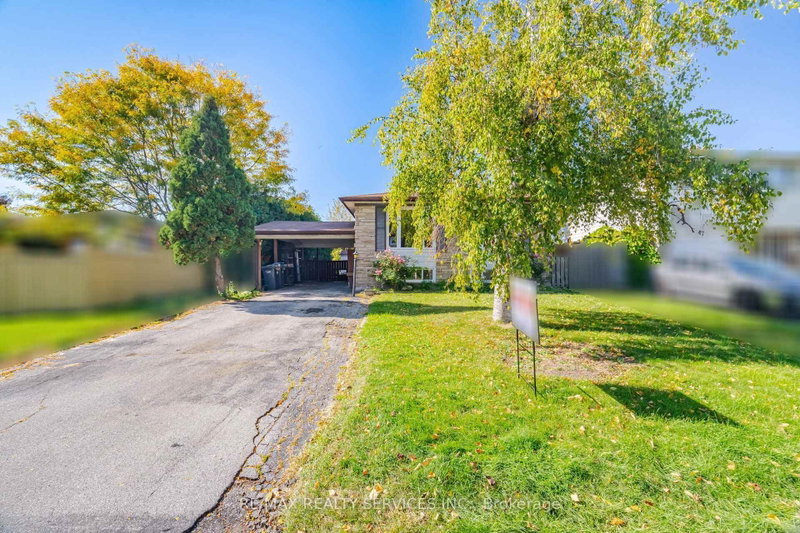 49 Ferndale Cres photo 2