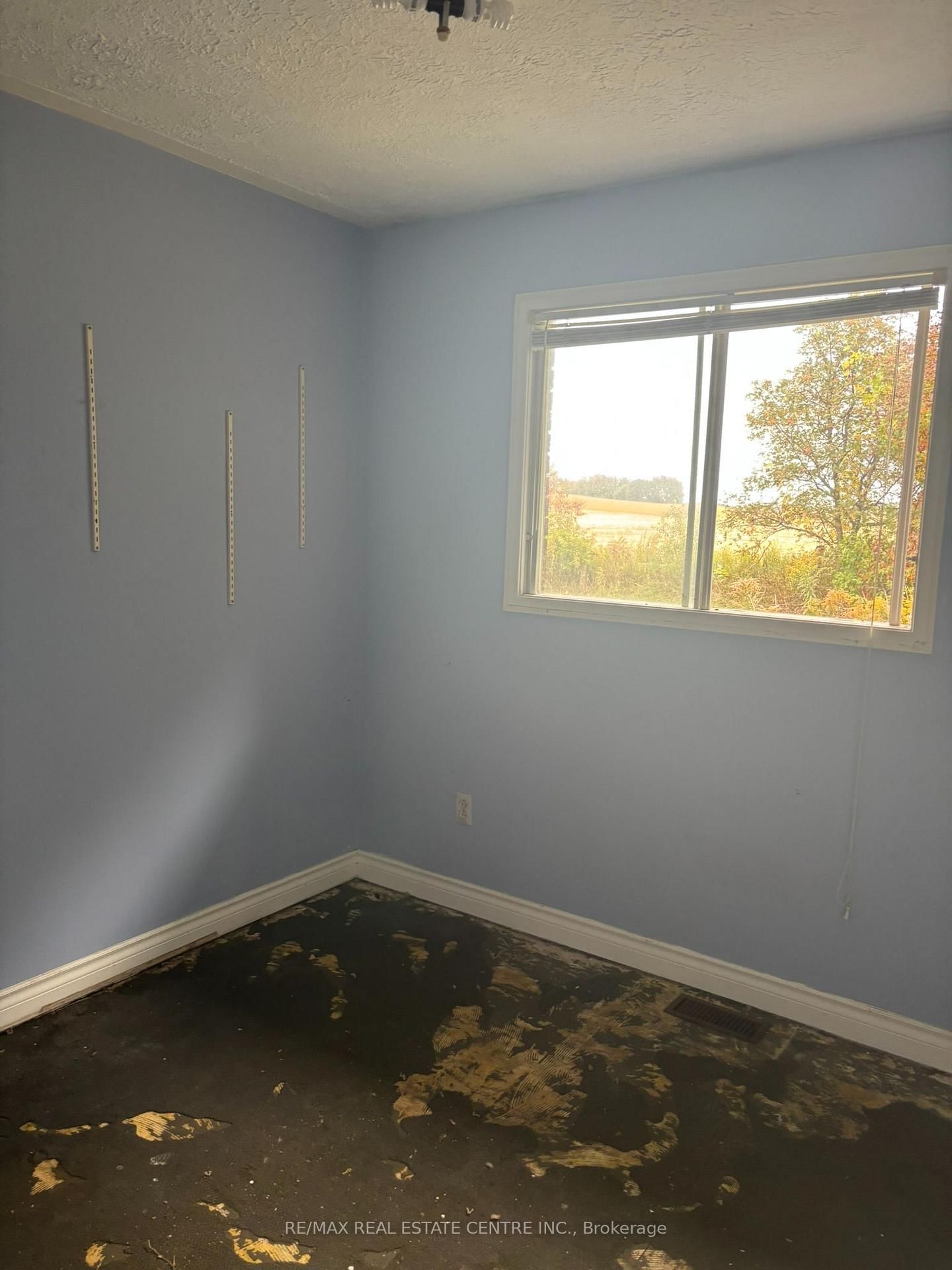 14273 4th Line • Halton Hills, ON photo 10