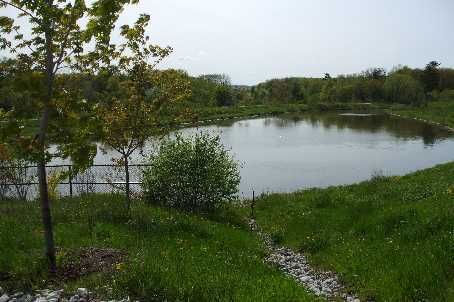 3037 Abernathy Way, Oakville, L6M5C1 | Image 2