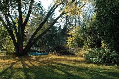 2212 Mississauga Rd, Mississauga, L5H2K9 | Image 2