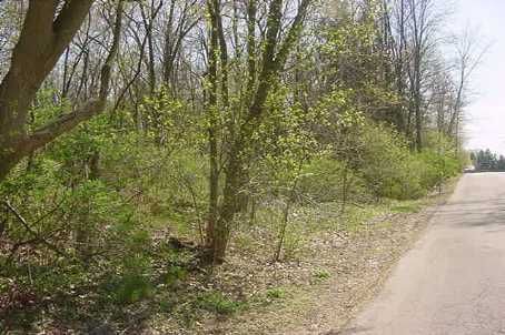 Lot2 - 1459 Stavebank Rd, Mississauga, L5G2V5 | Image 2