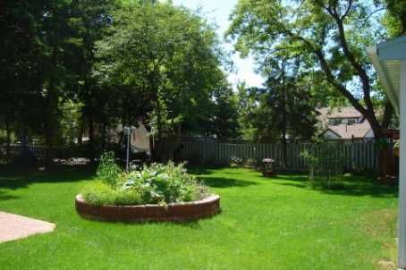 3 Mill St S, Brampton, L6Y1S4 | Image 3