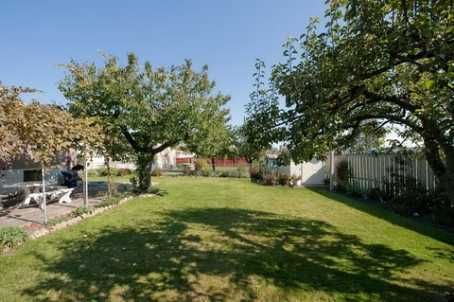 33 Wheatsheaf Cres, Toronto, M3N1P7 | Image 3