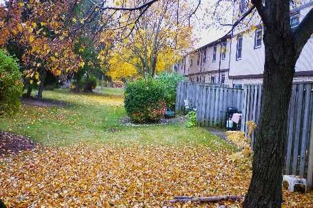 43 - 6449 Glen Erin Dr, Mississauga, L5N2T2 | Image 2