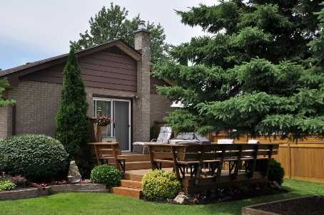 37 Carlyle Cres, Brampton, L6W2Y9 | Image 2