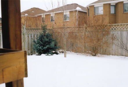 110 Jordan Dr, Orangeville, L9W4W7 | Image 2